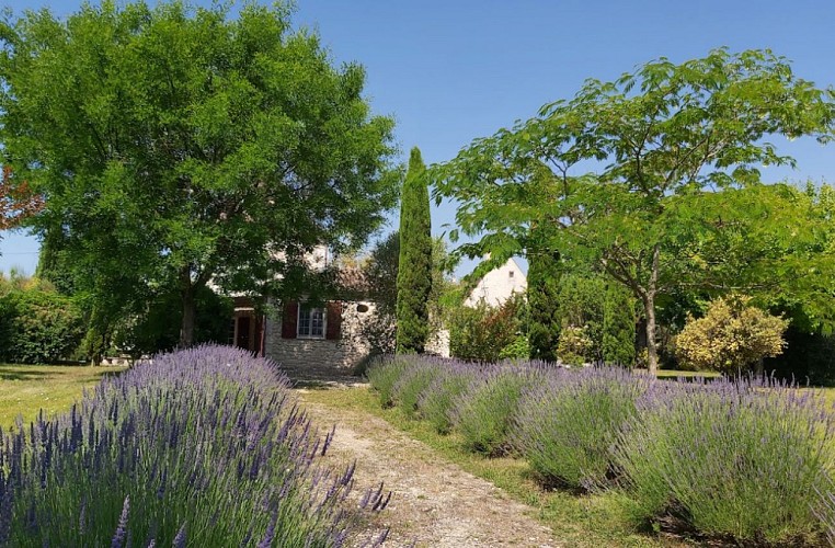 jurmilhac_pigeonnier_jardin