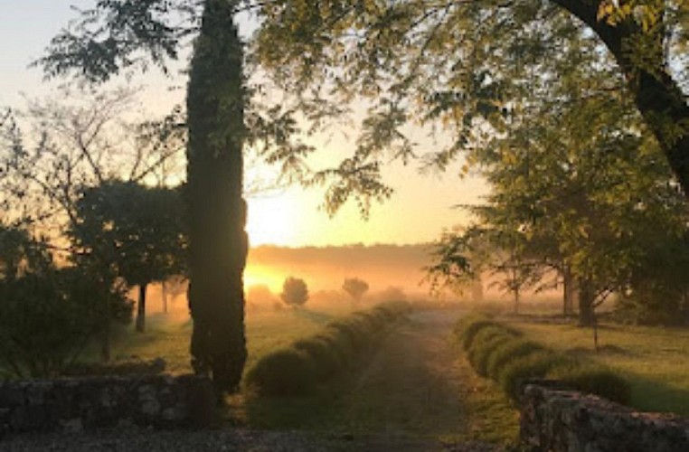 jurmilhac_pigeonnier_chemin