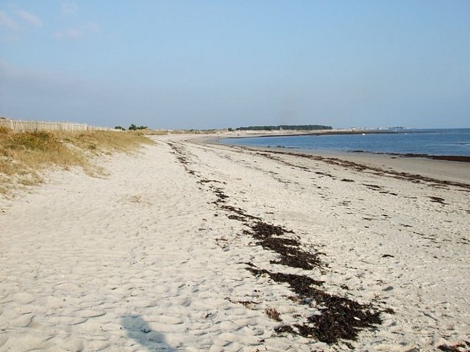 La plage du Steir