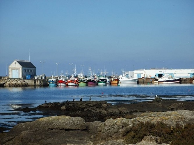 Le port de Saint-Guénolé