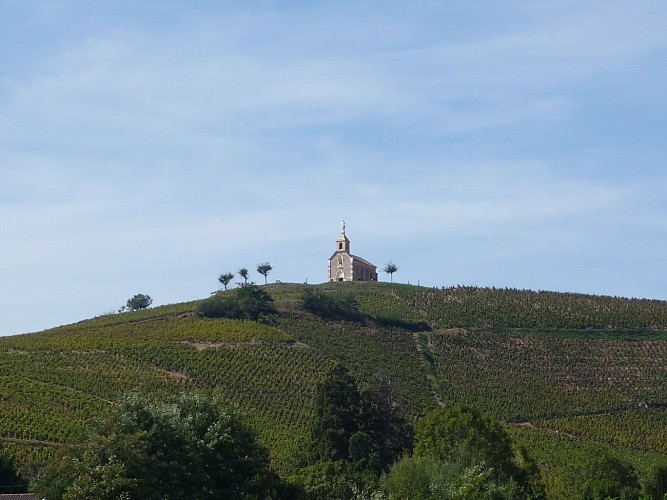 The Madone at Fleurie