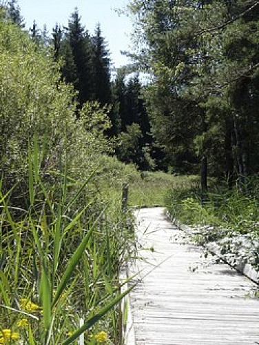 Marais des Lèches