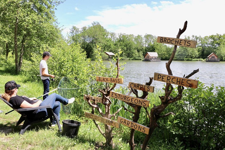 Домен де ла Домб