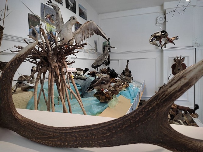 Musée Lac et Nature