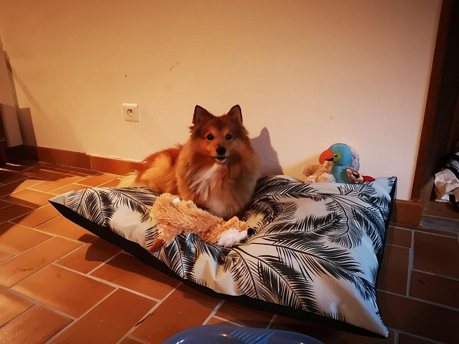 Gîte de Sonthonnax la Montagne