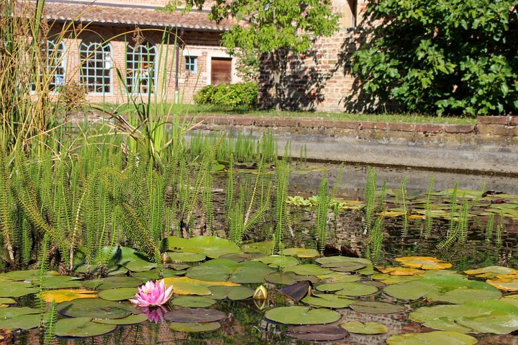 I musei dell'Hôtel Dieu