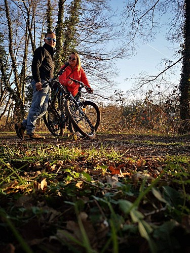 Fahrradverleih - Domaine de la Dombes