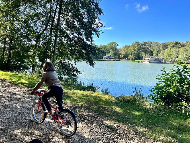 Location de VTT, Rosalie, Duo bike et Mono bike - Domaine de la Dombes