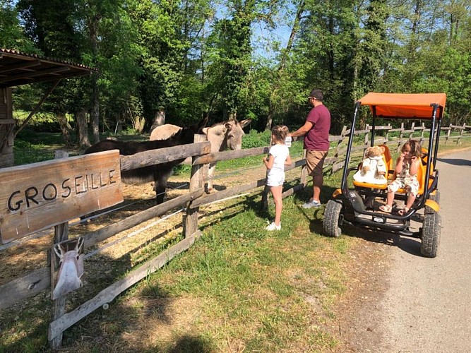 Location de VTT, Rosalie, Duo bike et Mono bike - Domaine de la Dombes