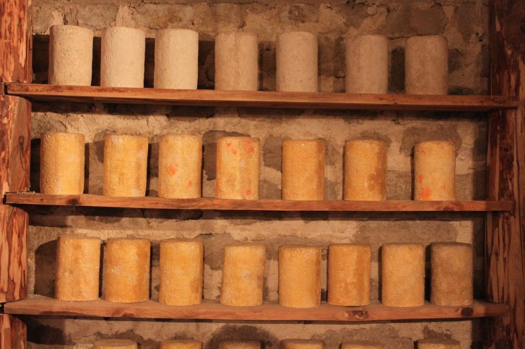 Museum des Käses”Fourme” und der Traditionen