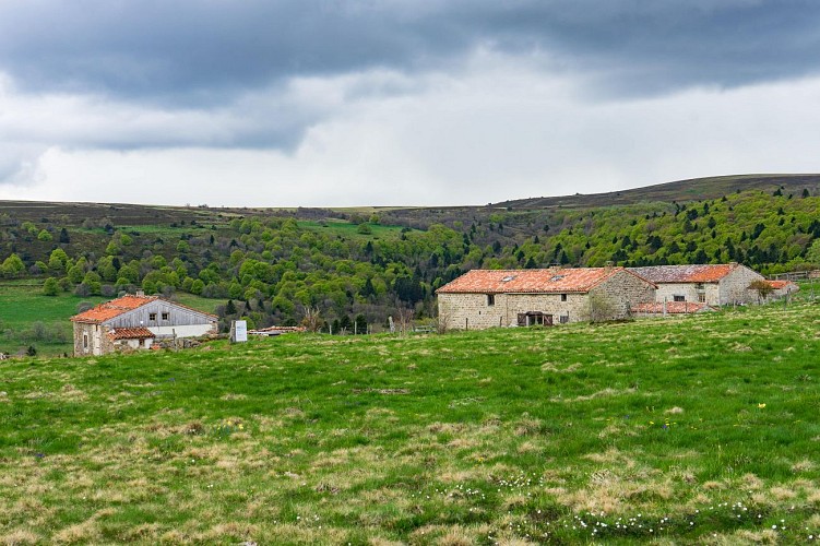 Les Hautes Chaumes du Forez