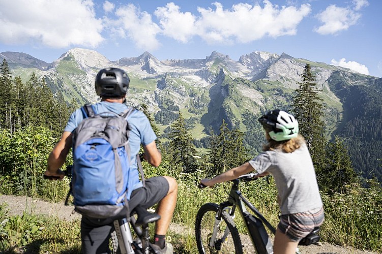 E-Mountainbike: Einführung