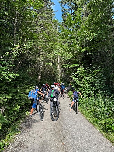 E-Mountainbike: Einführung