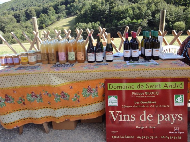 Domaine saint-andré