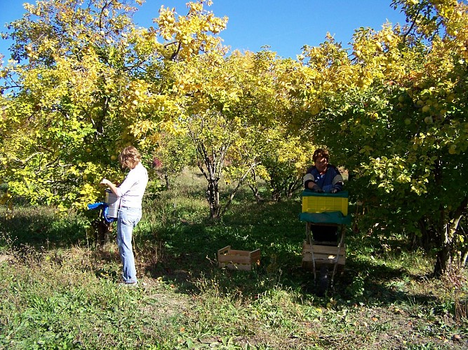 Domaine saint-andré