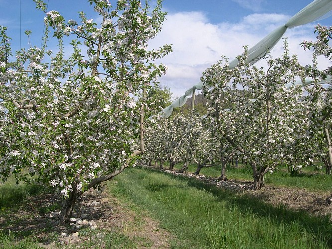 Domaine saint-andré