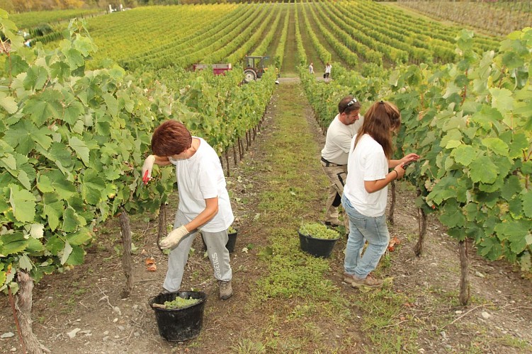 Domaine de Tresbaudon M. Olivier Ricard