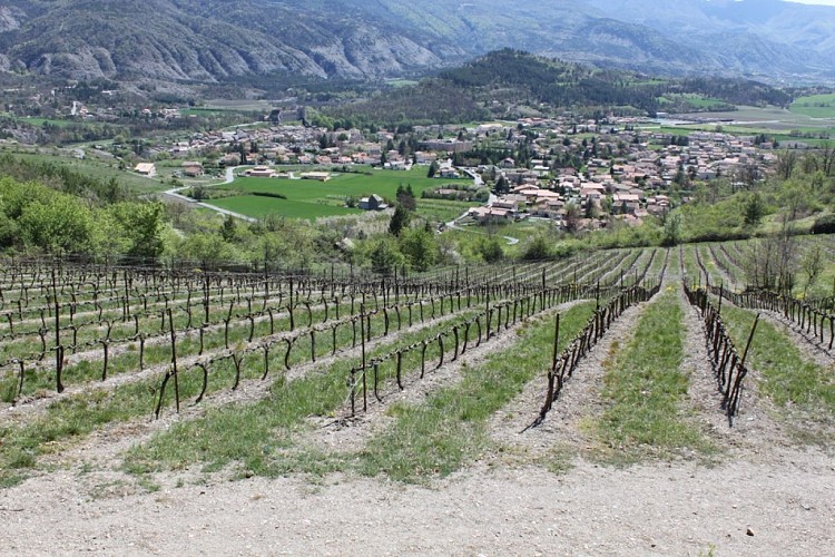 Domaine de Tresbaudon M. Olivier Ricard