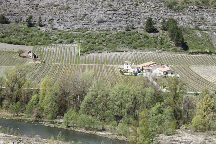 Domaine de Tresbaudon M. Olivier Ricard