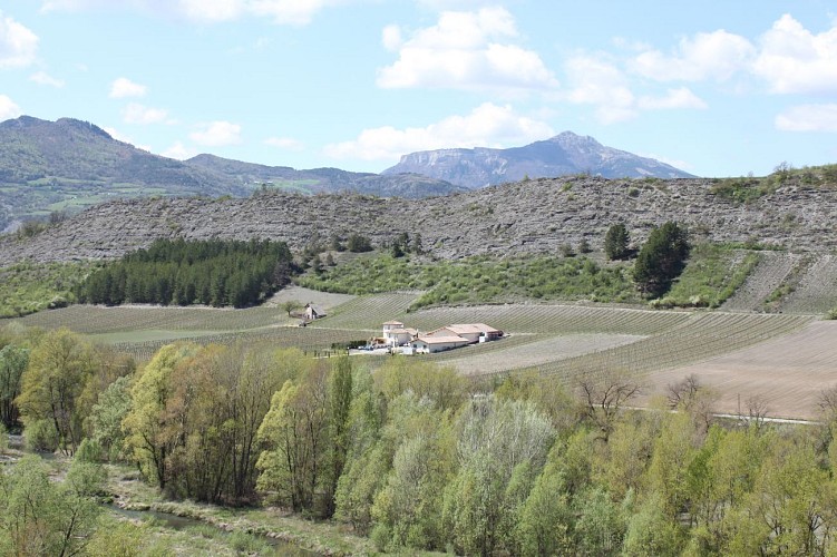 Domaine de Tresbaudon M. Olivier Ricard