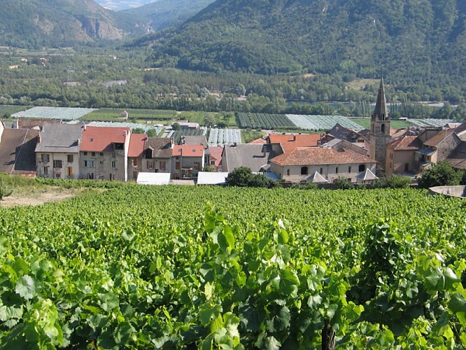 Domaine de la Clochère