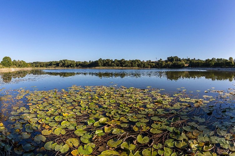 Espace naturel sensible de l'étang de Montjoux