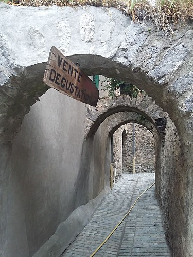 Distillery La Salettina