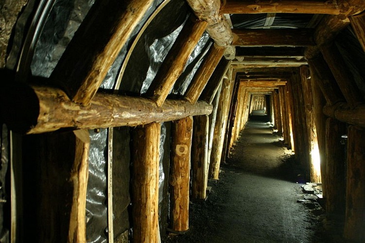 La Mine Image