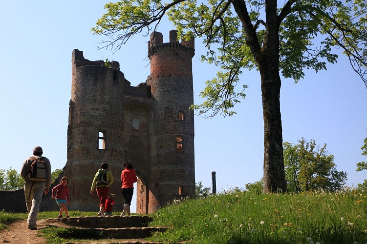 Castle of Bressieux