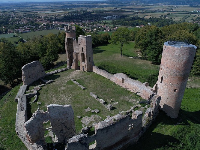 Castle of Bressieux