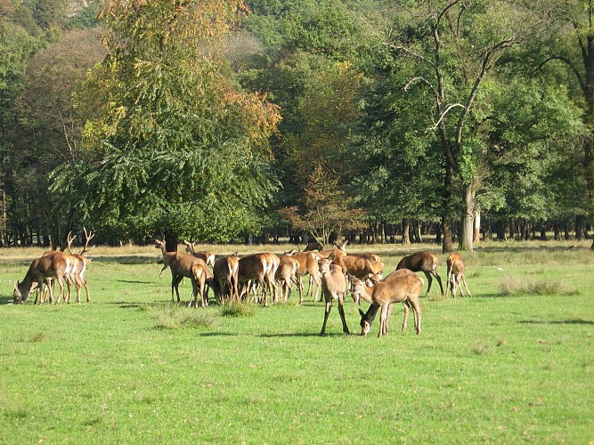 Domaine de Vizille - Park and garden