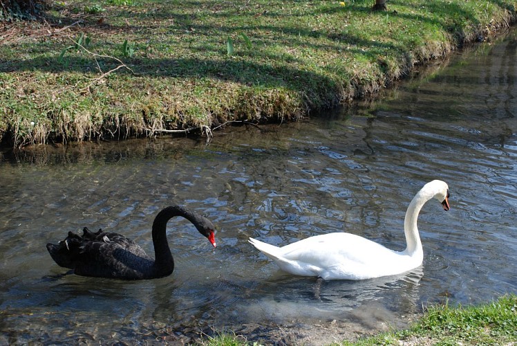 Domaine de Vizille - Park and garden