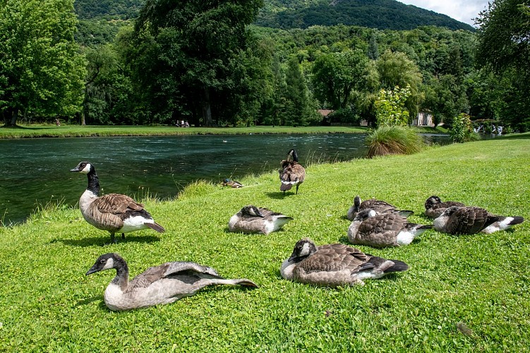 Domaine de Vizille -  Musée de la Révolution française