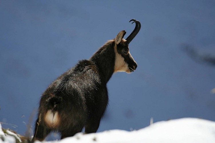 Nordic Area des Landes von La Meije