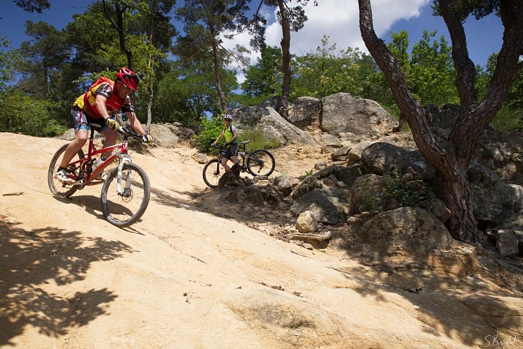 Site VTT FFC du Pays de Saint Félicien