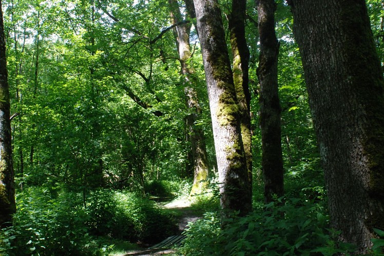 Natura 2000 : Plaine d'Oisans et ses versants