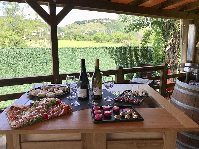 Balade en gyropode à Condrieu