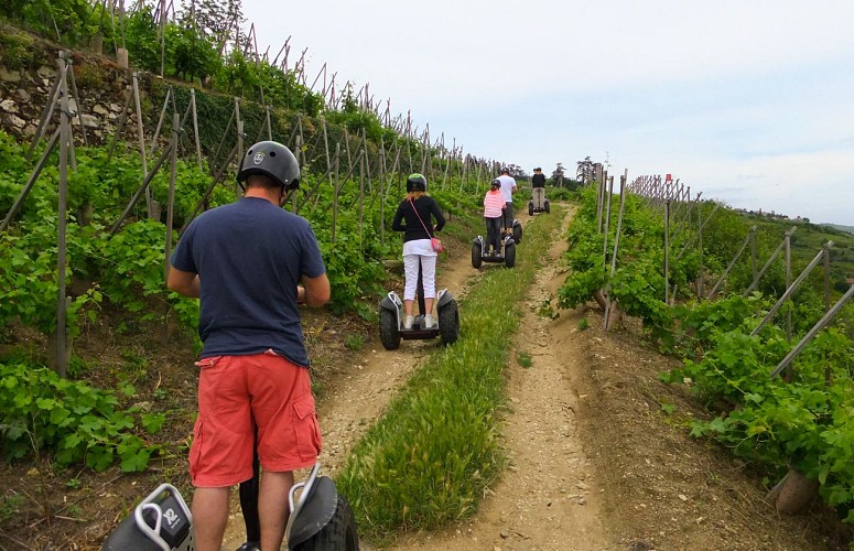Balade en gyropode à Condrieu