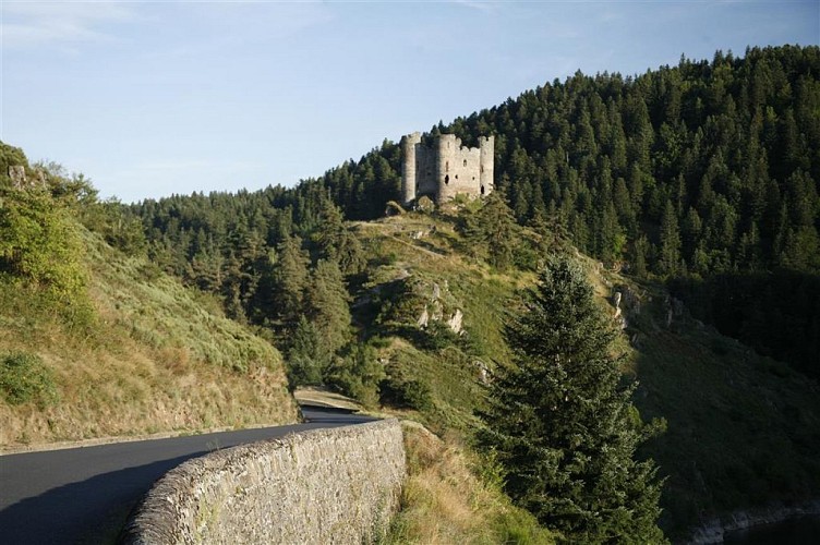 Site et château d'Alleuze