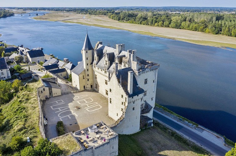 Castle of Montsoreau, Museum contemporary art