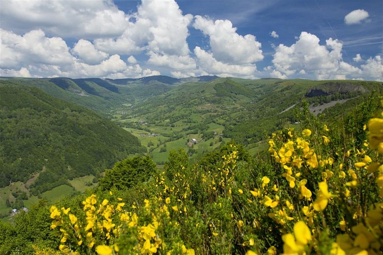 Site de Saint-Martin-Sous-Vigouroux - point de vue