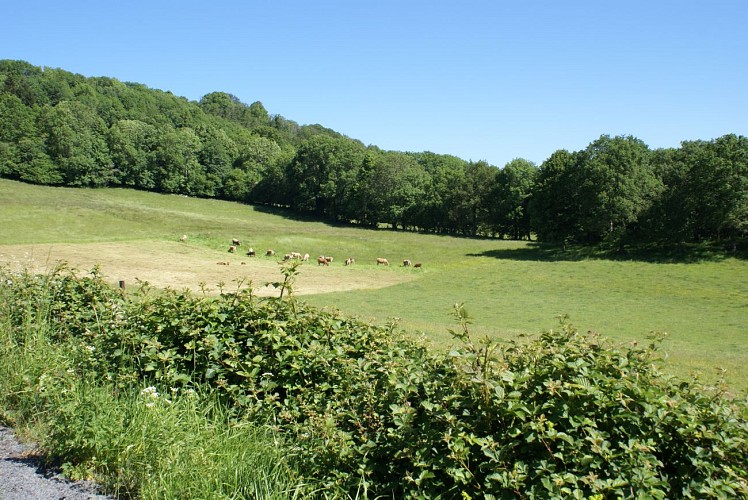 Site de Saint-Martin-Sous-Vigouroux - point de vue