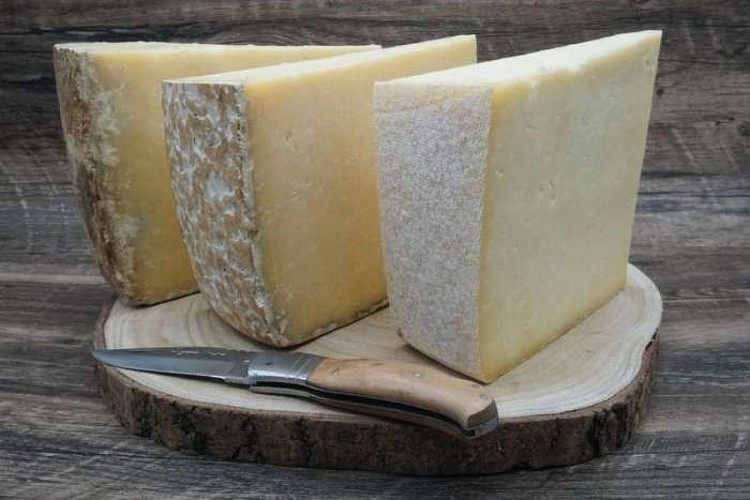 COOPERATIVE LAITIERE DE LA PLANEZE