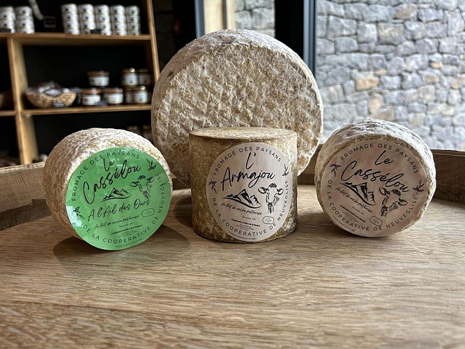 COOPERATIVE LAITIERE DE LA PLANEZE