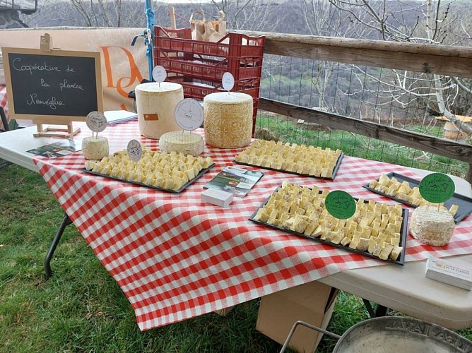 COOPERATIVE LAITIERE DE LA PLANEZE