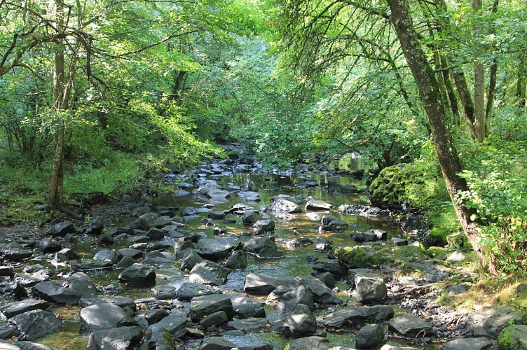 Waterval en kasteel van Sailhant