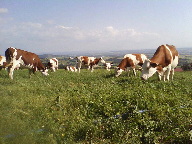 Ferme du Puy de Coujoule