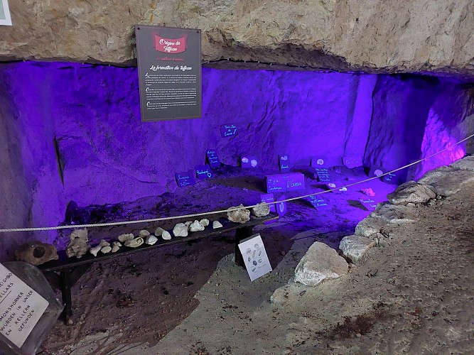 Les Pommes Tapées du Val de Loire