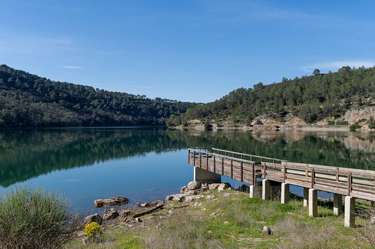 Lac de Carcès