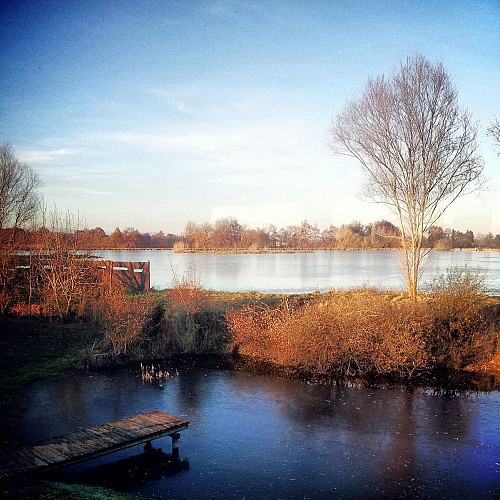 Forez Pond house and nature reserve of Biterne